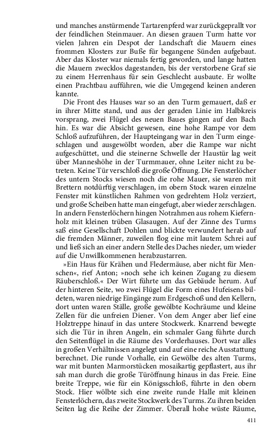 Seite 411