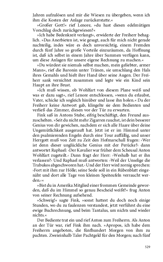 Seite 529
