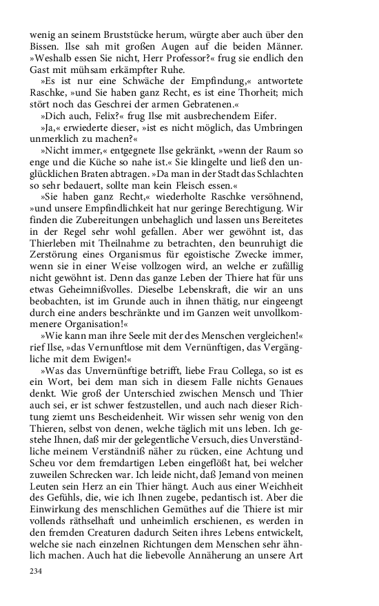 Seite 234