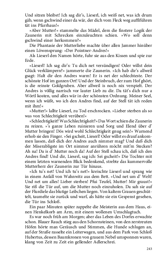 Seite 243