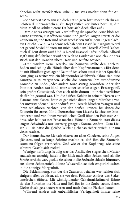 Seite 245