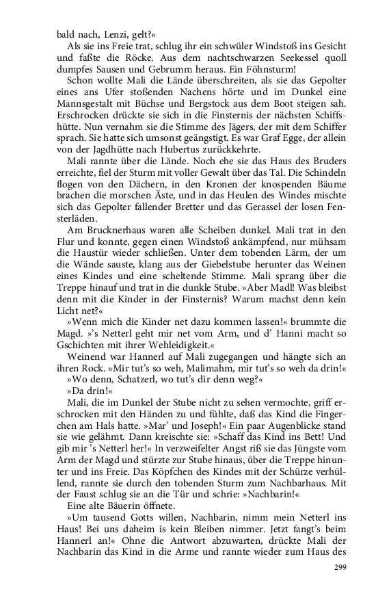 Seite 299