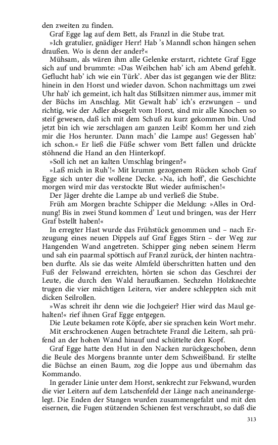 Seite 313