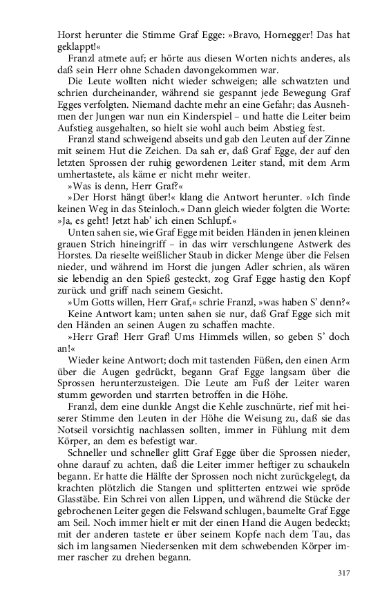 Seite 317