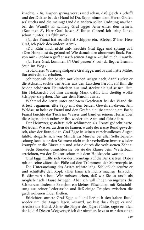 Seite 319