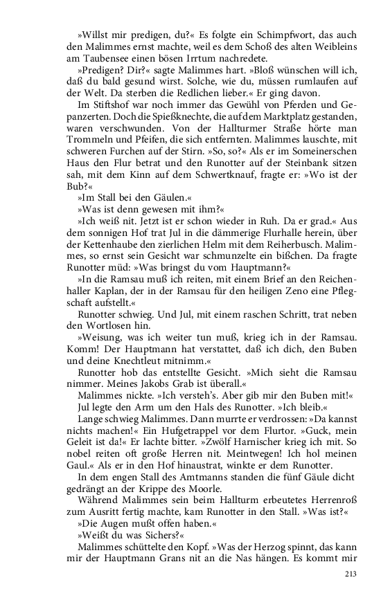 Seite 213