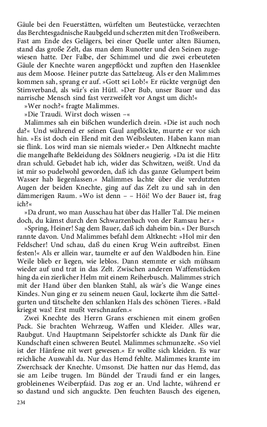 Seite 234