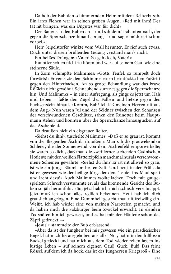Seite 241
