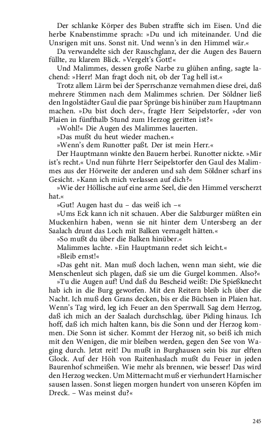 Seite 245