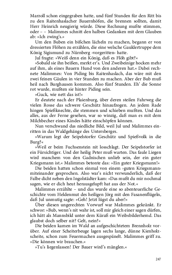 Seite 247