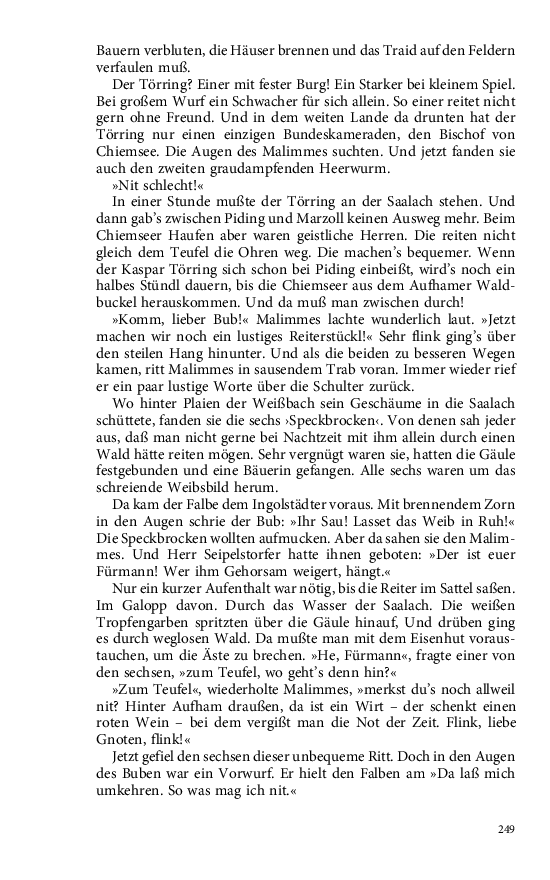 Seite 249