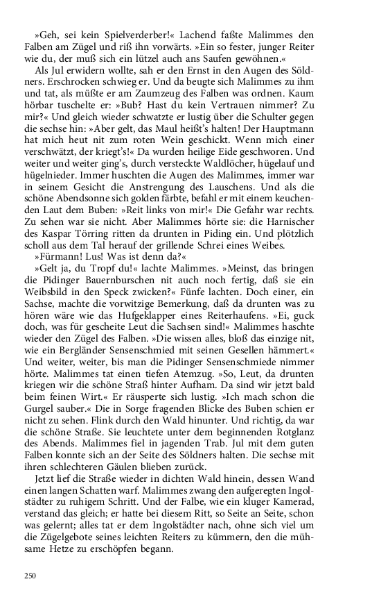 Seite 250
