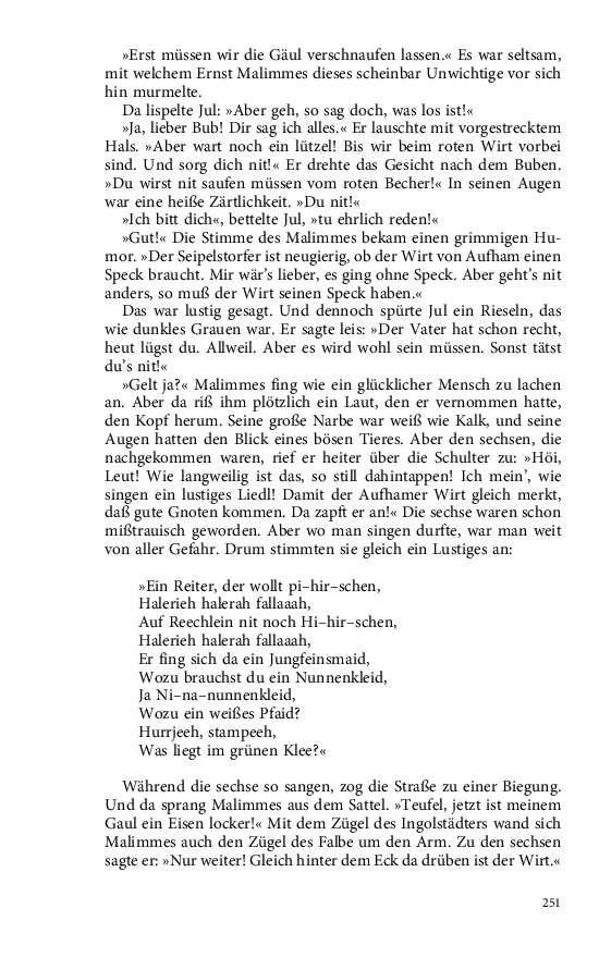 Seite 251