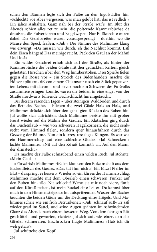 Seite 254