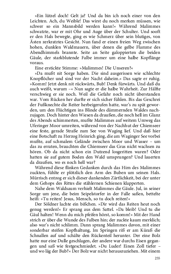 Seite 255