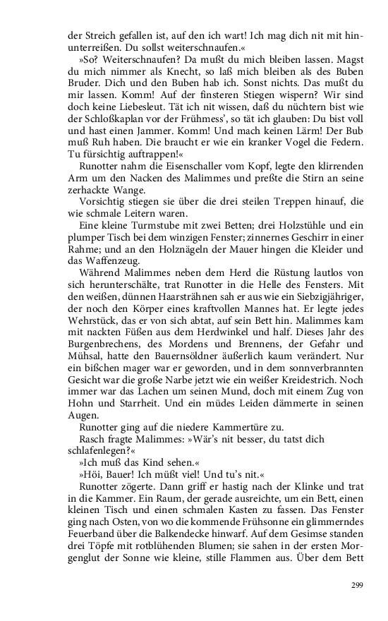 Seite 299