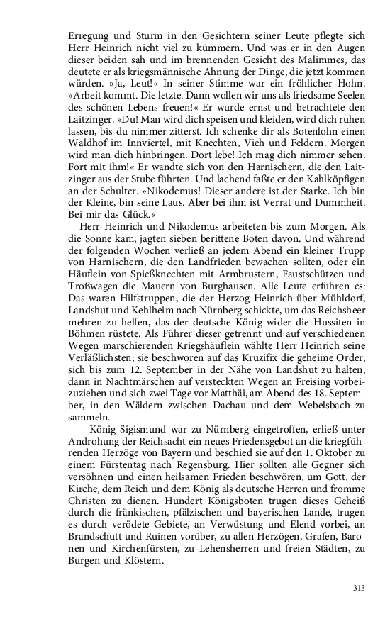Seite 313