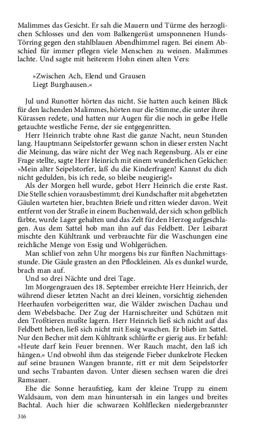 Seite 316