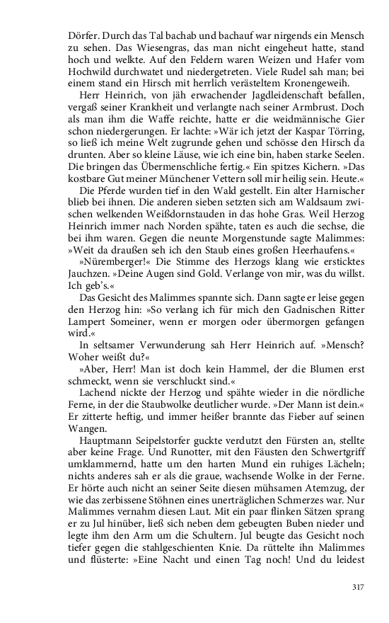 Seite 317