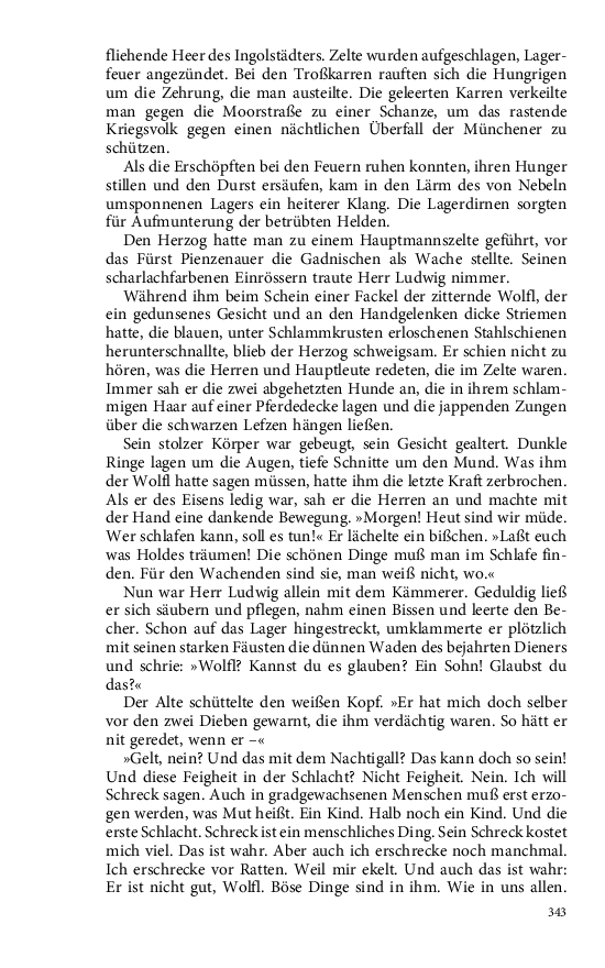 Seite 343