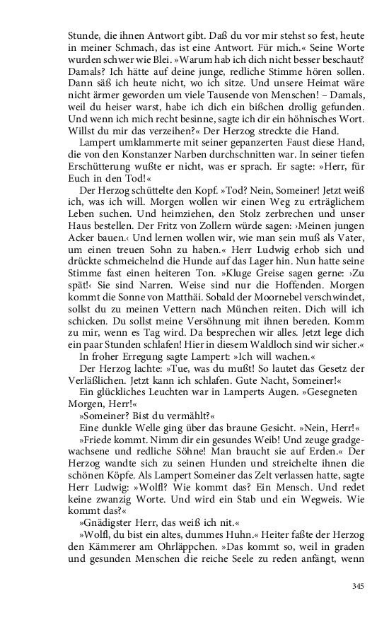 Seite 345