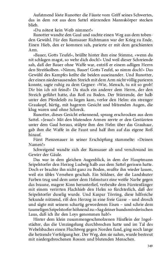 Seite 349
