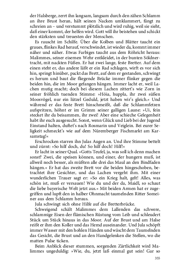Seite 355