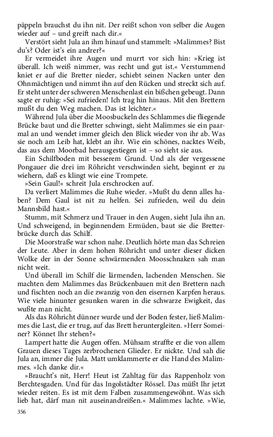 Seite 356