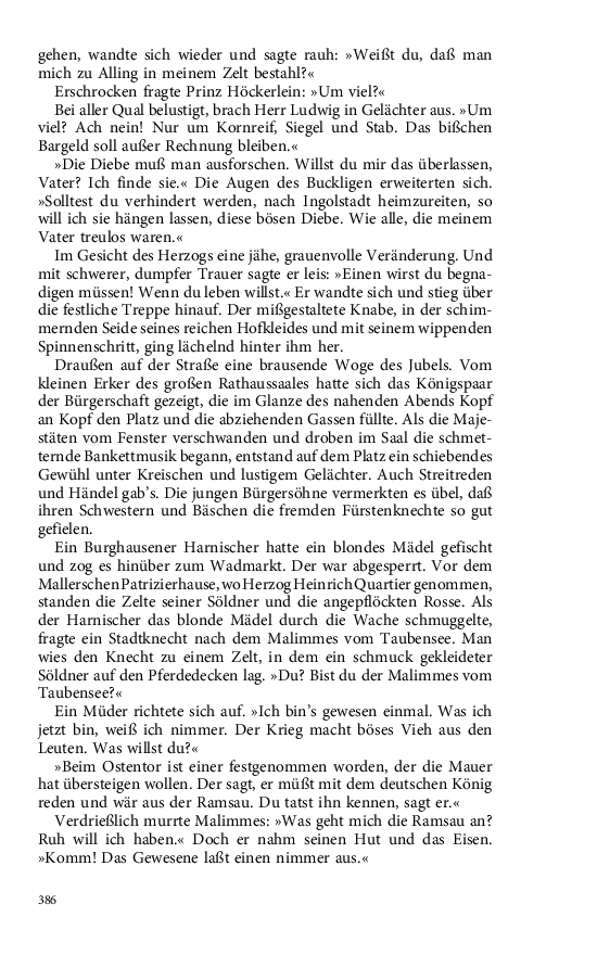 Seite 386