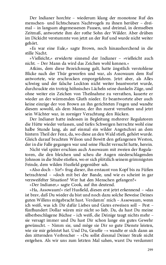 Seite 299