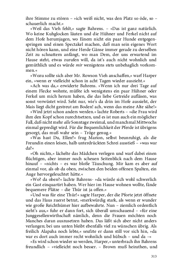 Seite 313