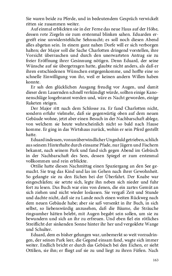Seite 163