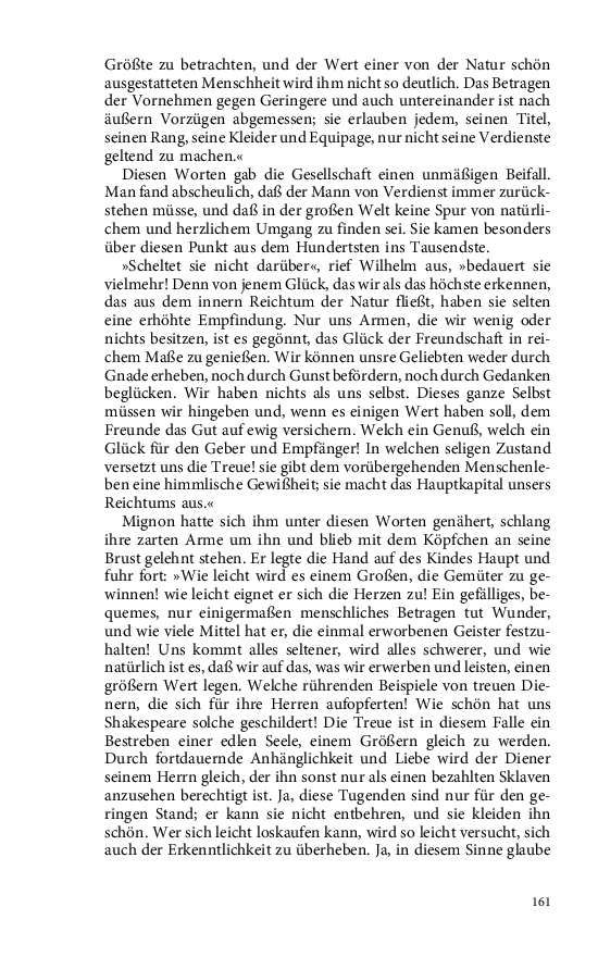 Seite 161