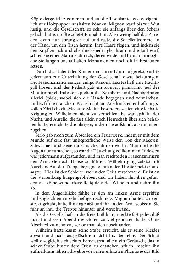Seite 251