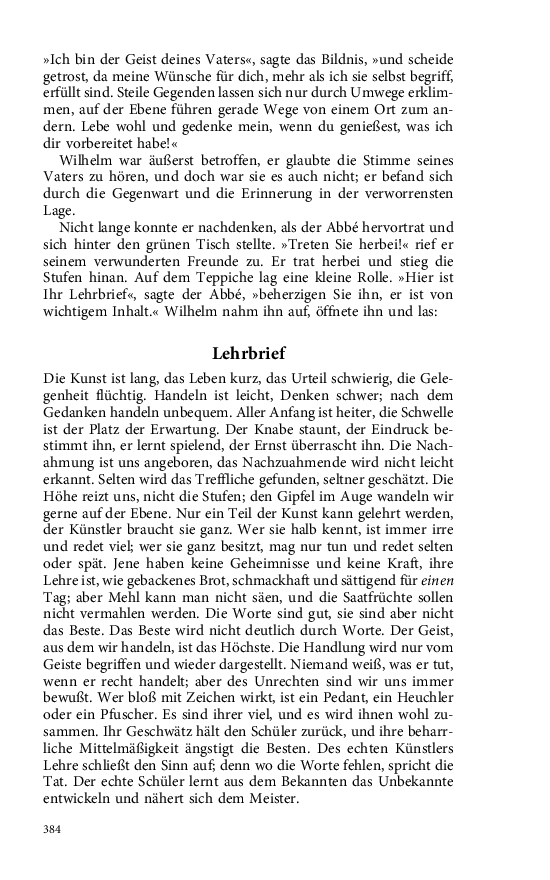 Seite 384