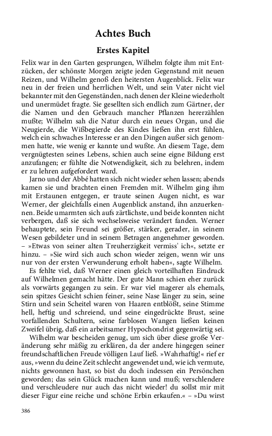 Seite 386