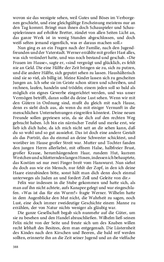 Seite 388