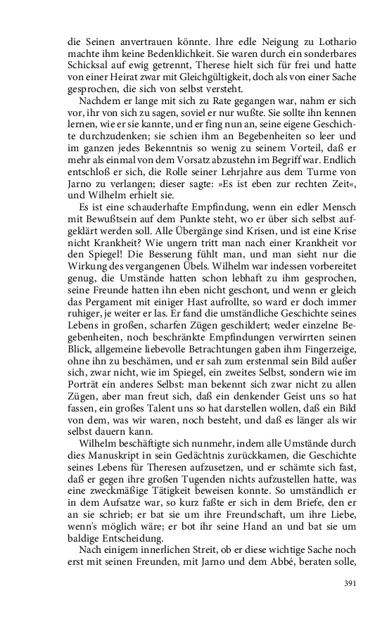 Seite 391