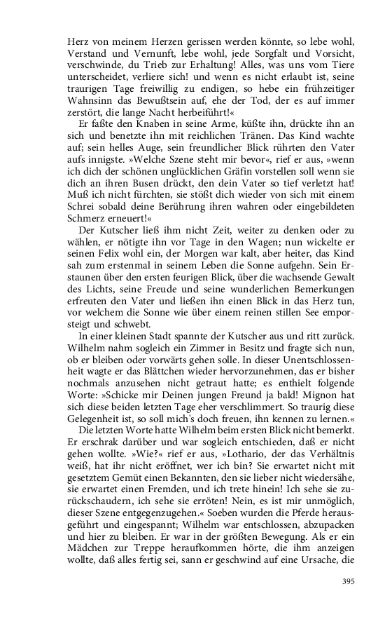 Seite 395
