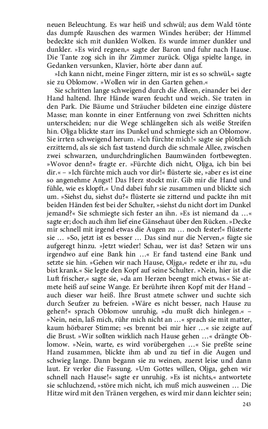 Seite 243
