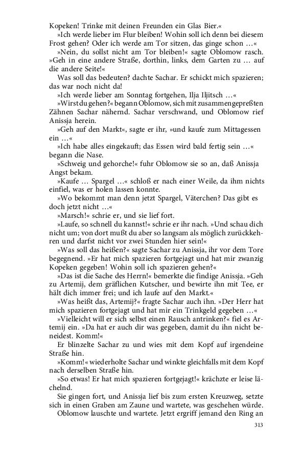 Seite 313