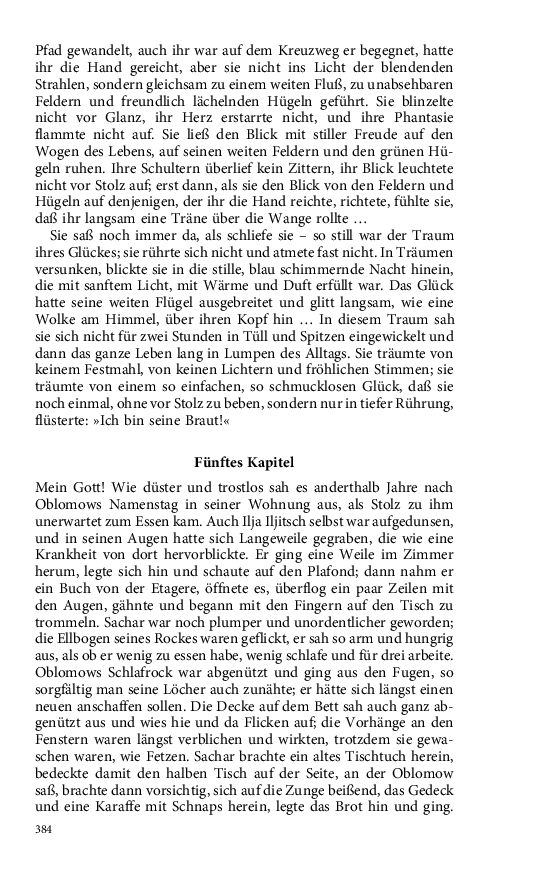 Seite 384