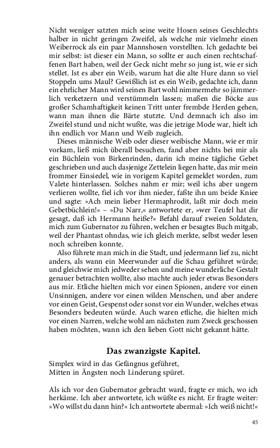 Seite 45