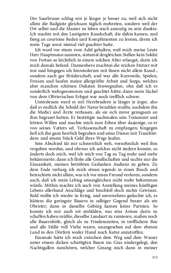 Seite 313