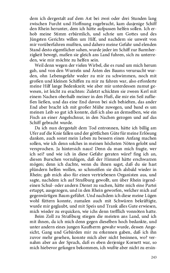 Seite 243