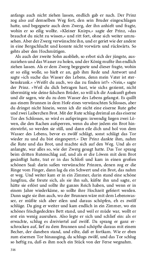 Seite 316