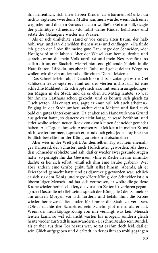 Seite 343
