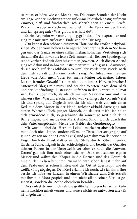 Seite 45