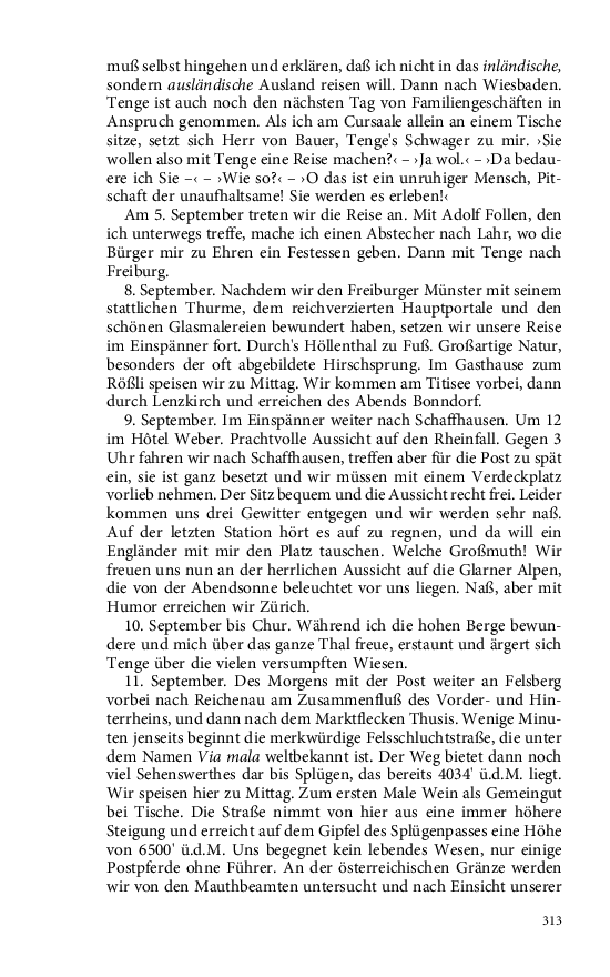 Seite 313