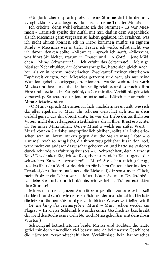 Seite 247